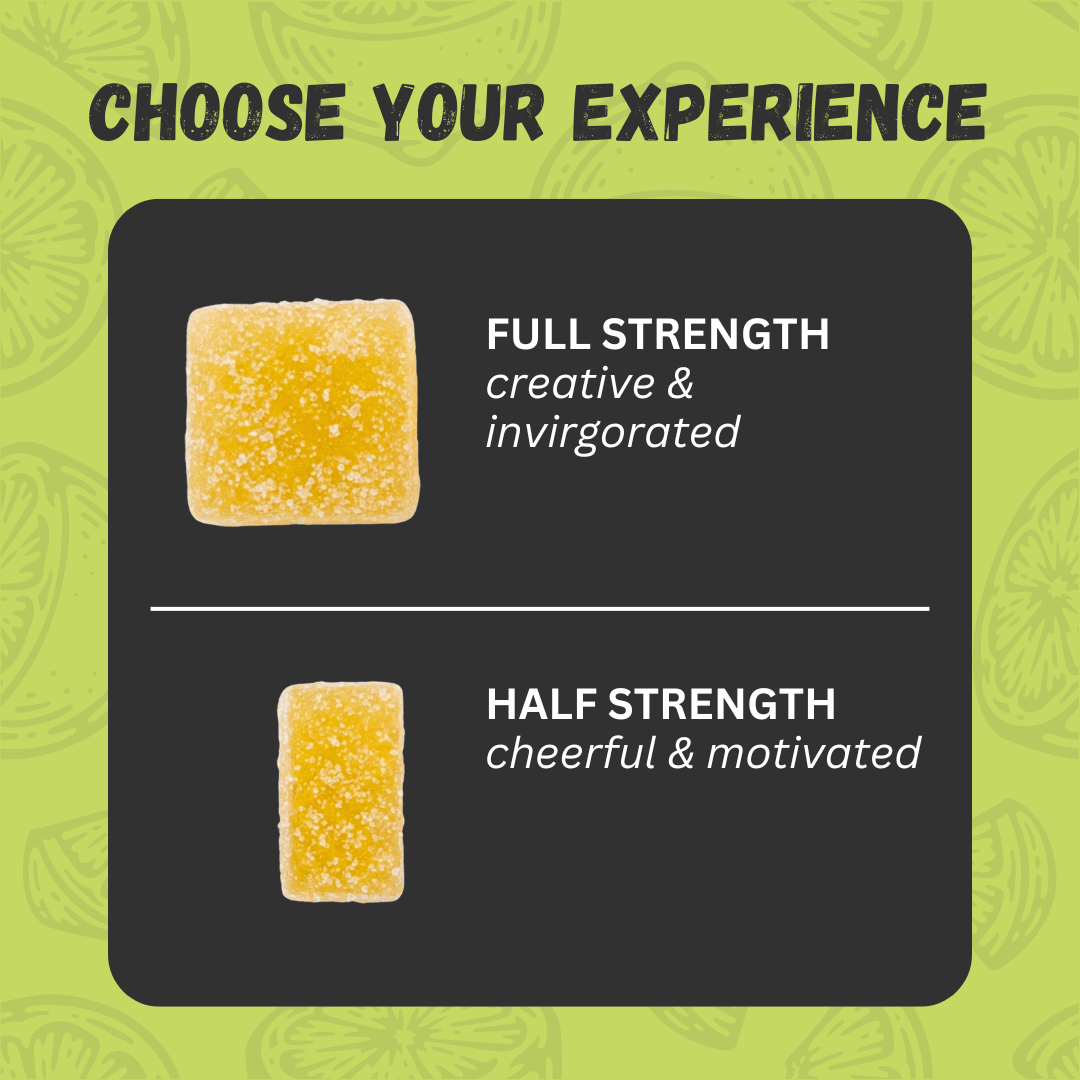 Two lemon haze 10mg gummies with text indicating 'Full Strength' and 'Half Strength' on a green background.
