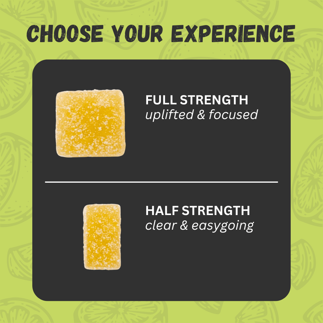 Two lemon haze gummies with text indicating 'Full Strength' and 'Half Strength' on a green background.